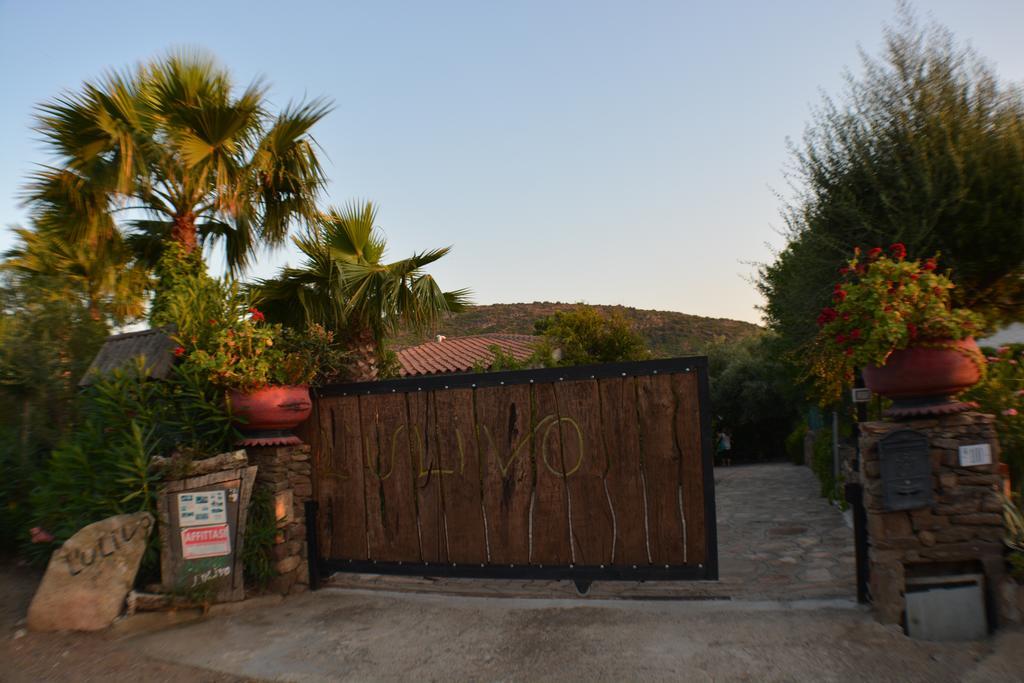 Residence L'Ulivo Budoni Esterno foto